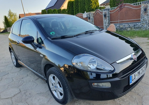 Fiat Punto Evo cena 13800 przebieg: 123000, rok produkcji 2011 z Świerzawa małe 79